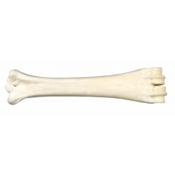 Friandise chien OS AU...