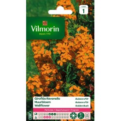 VILMORIN GIROFLÉE RAVENELLE...