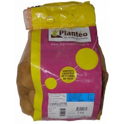 PLANTÉO Pomme de terre...