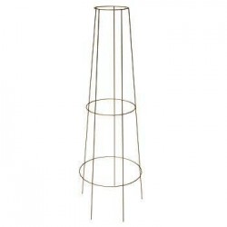 Petit tuteur grimpant galva