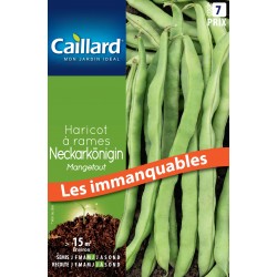 Graines Haricot À Rames...