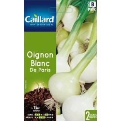 Graines Oignon Blanc De...
