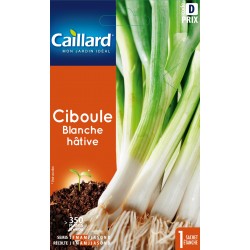 Graines Ciboule Blanche...