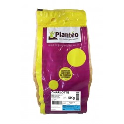 PLANTÉO Pomme de terre...