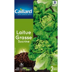Graines Laitue Grasse...