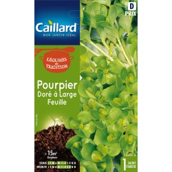 Graines Pourpier Dore À...