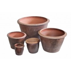 Pot droit thai ORIENTALE...