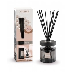 Bouquet Parfumé Ellipse +...