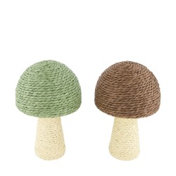 Champignon À Poser...