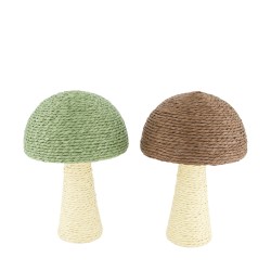 Champignon À Poser...