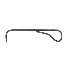 Bonsai Griffe À Racines...