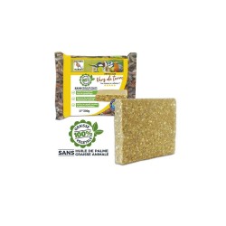 REPAS AUX VERS DE TERRE...