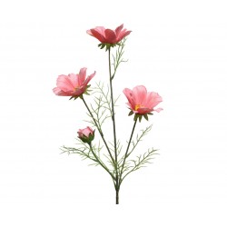 Tige De Coreopsis Rose En...