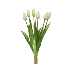Bouquet De Tulipes Blanc En...