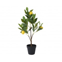 Citronnier En Pot Jaune En...