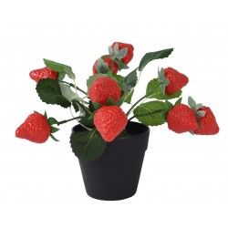 Fraisier En Pot Rouge En...