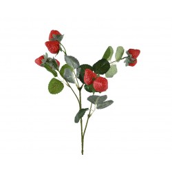 Tige De Fraise Rouge En...