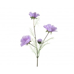 Tige De Coreopsis Lilas En...