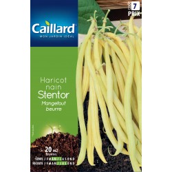 Graines Haricot Nain...