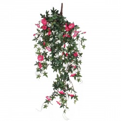 Chute De Liseron Fuchsia En...