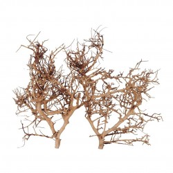 BRANCHE THAILAND 35-45 brun