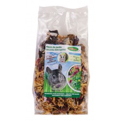 Friandises pour rongeur...