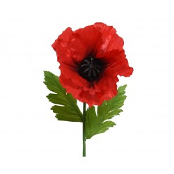 Tige De Coquelicot Rouge En...
