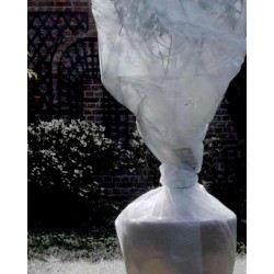 BUBBLE FILM Film à bulles...