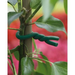 BIFLEX Lien mousse Vert 5mmx5m