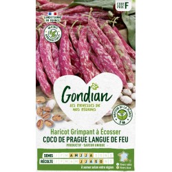 GONDIAN Haricot Grimpant à...