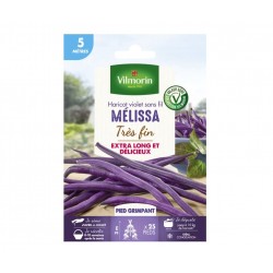 VILMORIN HARICOT Violet...