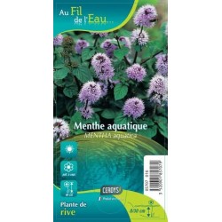 MENTHA aquatica G9 AU FIL...