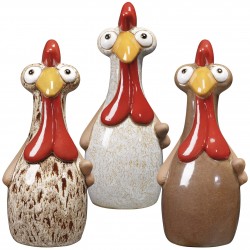 Poule galline deroma...