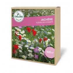 Graines Jachere Fleurs Des...