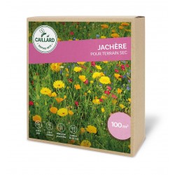 Graines Jachere Pour...