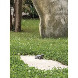 Mini-caméléon deroma...