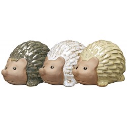 Hérisson quipic deroma...