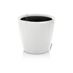 Pot réserve d'eau classico...