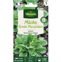 VILMORIN MÂCHE Ronde...