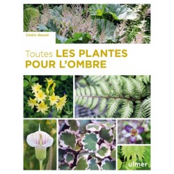 Livre - Toutes Les Plantes...