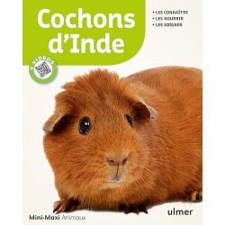 Livre - Cochons D'Inde...