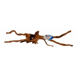 SUPERFISH SPIDERWOOD Racine...