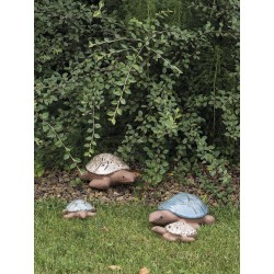 Tortue jonathan deroma...