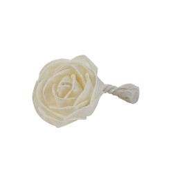 Kit Fleur Parfumée Sesbania...