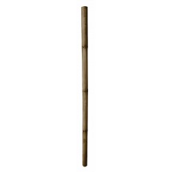 Tuteur bambou deco Ø7/9-H200