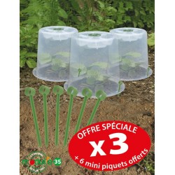 Cloche potag.trspx3 +6piquet