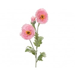 Tige De Coquelicot Rose En...