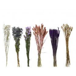 Botte De Fleurs Séchées...