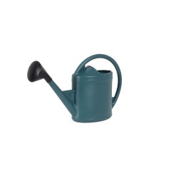 Arrosoir avec pomme...