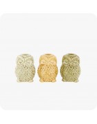 Accessoires
